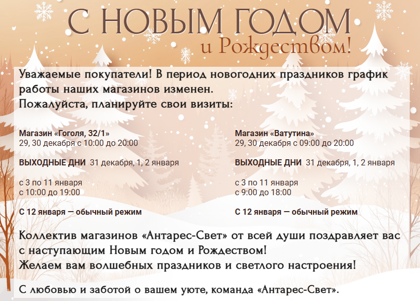 Новый год 2025/26