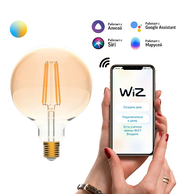 Gauss LED Golden G95 6,5W E27 2000-5500K DIM+CCT Smart Home Лампа светодиодная Умный Дом