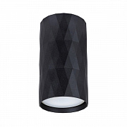 Светильник потолочный  A5557PL-1BK FANG Arte Lamp