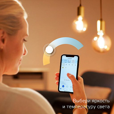 Gauss LED Golden G95 6,5W E27 2000-5500K DIM+CCT Smart Home Лампа светодиодная Умный Дом