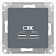 SE AtlasDesign Грифель Розетка USB, 5В 1 порт*2, 1А, 2 порта*1,05А механизм