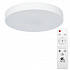 Светильник Arte Lamp ARENA, 60w, 400 mm, A2661PL-1WH