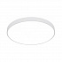 Светильник Arte Lamp ARENA, 80w, 600 mm, A2671PL-1WH