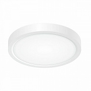 Citilux Бейсик CL738120N Светильник накладной Белый