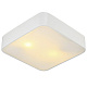 ARTE LAMP A7210PL-2WH Потолочный светильник