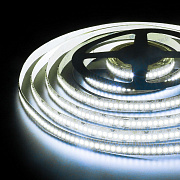24W холодный белый 6500K LED2835/240 2650Lm/м 24V 5м IP20