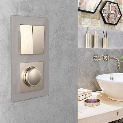 Werkel W1120010 Выключатель двухклавишный (шампань рифленый)