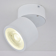 Светодиодный светильник LED-RPL NS 15 12W 4000K Белый