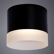 Светильник потолочный  Castor A5554PL-1BK Arte Lamp