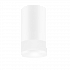 DIODTRADE ART GLASS GU10/MR16 белый  55*100 Спот