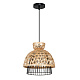 ARTE LAMP A7070SP-1BK WOODSTOCK E27*1 Подвес