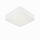 ARTE LAMP A7210PL-2WH Потолочный светильник