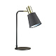 Настольная лампа ODEON LIGHT 3638/1T Marcus 