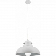 Светильник Arte Lamp MARTIN A5213SP-1WG