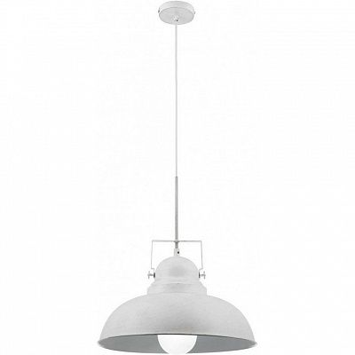Светильник Arte Lamp MARTIN A5213SP-1WG