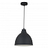ARTE LAMP A2055SP-1BK Подвес