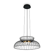 Maytoni Подвес FR5398PL-L6B Citrus LED 8 W