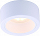ARTE LAMP A5553PL-1WH EFFETTO Спот