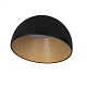 Потолочный светильник Egg LOFT IT 10197/350 Black