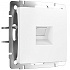 Werkel W1181061 Розетка Ethernet RJ-45 (белый матовый)