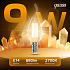 Gauss LED Candle tailed 9W Е14 2700К Filament Лампа светодиодная