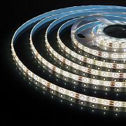 4,8W дневной белый 4200K LED2835/60 550Lm/м 12V 5м IP65