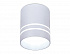 Ambrella TN241 SL/S серебро/песок LED 4200K 12W D80*100 Светильник накладной