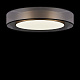Maytoni Потолочный светильник FR6005CL-L48G Zoticus