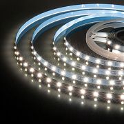 4,8W дневной белый 4200K LED2835/60 550Lm/м 12V 5м IP20