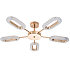 ARTE LAMP A2489PL-5GO OVALE Люстра