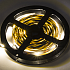 Ecola LED strip PRO 9,0W/m 12V 30Led/m 2800K 600Lm/m Светодиодная лента 5 метров