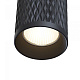 Maytoni Подвесной светильник Focus Design P038PL-01B