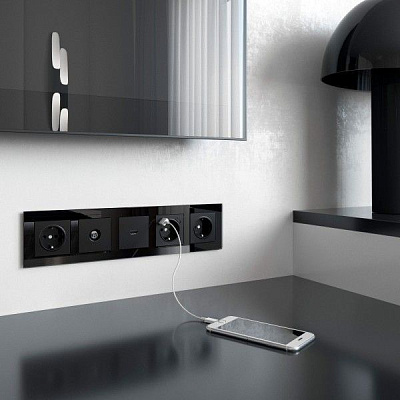 Werkel W1183008 ТВ-розетка оконечная (черный матовый)