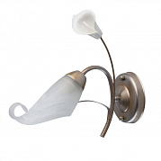 MW-Light Восторг 1*60W E14 220V Бра