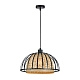 ARTE LAMP A7071SP-1BK WOODSTOCK E27*1 Подвес